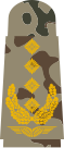 General (flecktarn)