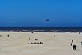 Image 35Beach of Texel (from List of islands of the Netherlands)