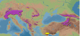 Distribución de Rupicapra rupicapra no 2008. En amarelo, lugares onde se reintroduciu. (Exclúense as poboacións introducidas na Arxentina e en Nova Zelandia).[1]