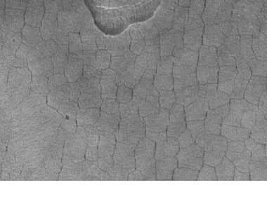 Patterned ground in the form of polygonal features is associated with ground ice. It is rare to be found this far south (45 degrees north latitude). Picture taken by Mars Global Surveyor.