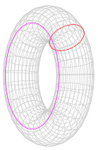 Veranschaulichung der Interaktion zweier Strings auf einem Torus