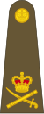 Lieutenant-General