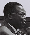 Image 9The leader of ABAKO, Joseph Kasa-Vubu, first democratically elected President of Congo-Léopoldville (from Democratic Republic of the Congo)