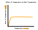 The effect of temperature on the transpiration rate of plants.