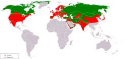 gray wolf range