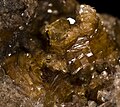 Phlogopite - mont Somma Italie - (vue 0,7 cm)