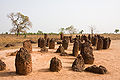 Wassu (Senegal)