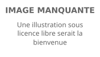 Image illustrative de l’article Gouverneur général des Bahamas