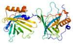 Thumbnail for Lipocalin-2