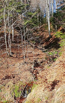 Source de l'Hérault