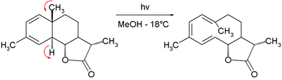 Elektrocyclische reactie uit de totaalsynthese van dihydrocostunolide.