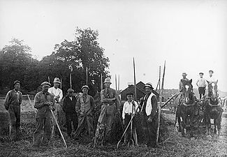 Höhässjning på Fågelsta Gård år 1918 eller 1919.