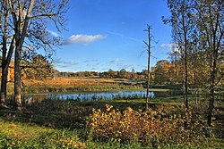 Härmajärv, a lake in Ruusmäe