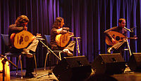 Le Trio Joubran, at a concert in Austria, 2008