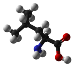 ▵ Molecuulmodel van L-leucine