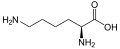 L-Lysine (Lys / K)