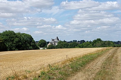 Une culture récoltée à Luçay-le-Mâle en 2017.