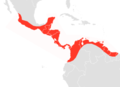 Aire de répartition du Molosse du Sinaloa