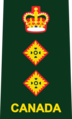 Погон полковника (англ. Colonel) армії Канади