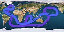 Map displaying a looping line with arrows indicating that water flows eastward in the far Southern Ocean, angling northeast of Australia, turning sough-after passing Alaska, then crossing the mid-Pacific to flow north of Australia, continuing west below Africa, then turning northwest until reaching eastern Canada, then angling east to southern Europe, then finally turning south just below Greenland and flowing down the Americas' eastern coast, and resuming its flow eastward to complete the circle