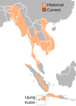 Distribución do rinoceronte de Xava