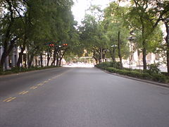 Carril central de la Avenida Alem