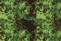 Flecktarn Woodland polonat Gepard