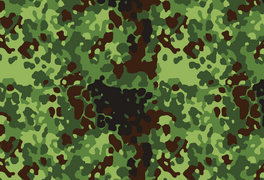 Լեհական անտառային Flecktarn Gepard