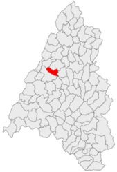 Location in Bihor County