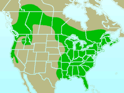 Distribución de D. pileatus