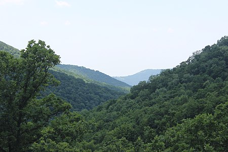 Arzakan-Meghradzor natura rezervejo