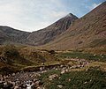 Carrantuohill und Hag’s Glen