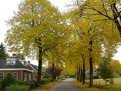 De hoofdstraat in Elp