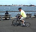 Stuyvesant Cove Park, New York City, 2010