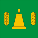 Bandeira oficial de Järva-Jaani