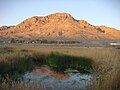 Image 45Wetlands contrast the hot, arid landscape around Middle Spring, Fish Springs National Wildlife Refuge, Utah. (from Wetland)