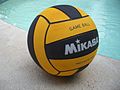 Water polo ball.