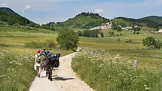 Sur le chemin de Camurac à Montaillou.