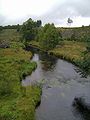 The River Vienne, flowing past signs of recent logging near Peyrelevade, a few kilometres from its sources near the village of Millevaches