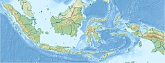 Mapa konturowa Indonezji, blisko centrum po prawej na dole znajduje się punkt z opisem „Buton”