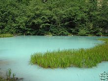 Mineral lake ossetia.JPG