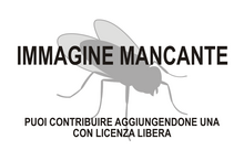 Immagine di Anthepiscopus mancante