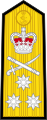 Shoulder board prior to 2001