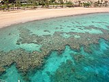 Fringing coral reef off the coast of Eilat, Israel.