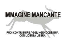 Immagine di Nisidorcas mancante