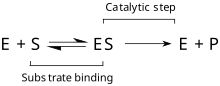 Minimal kinetic model for hydrolysis of organophosphates (S) by enzyme PTE (E)