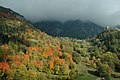 Le château de Graines vu du sentier en amont d'Arcésaz en automne.