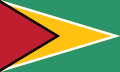 Guyana op de Olympische Jeugdzomerspelen 2010