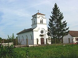 The Orthodox Church