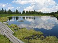 Image 9Lake Ribnica on Pohorje